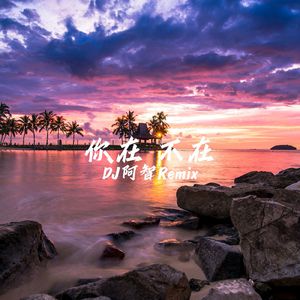 精品熟女成人网站
