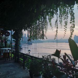 精品熟女成人网站
