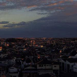 精品熟女成人网站
